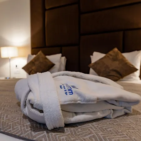 Maritim Antonine & מלון